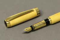 /album/galerie-de-photos-les-stylos-plume/buis-orion-dore-jpg/